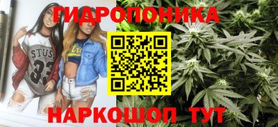 стаф Пушкино