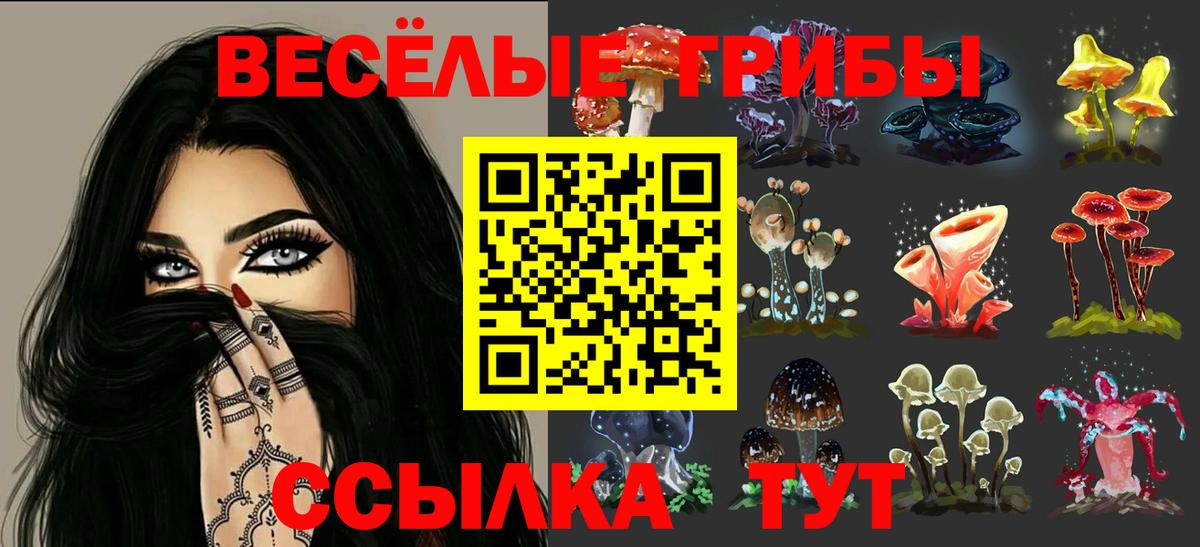 Галлюциногенные грибы Psilocybine cubensis Самара