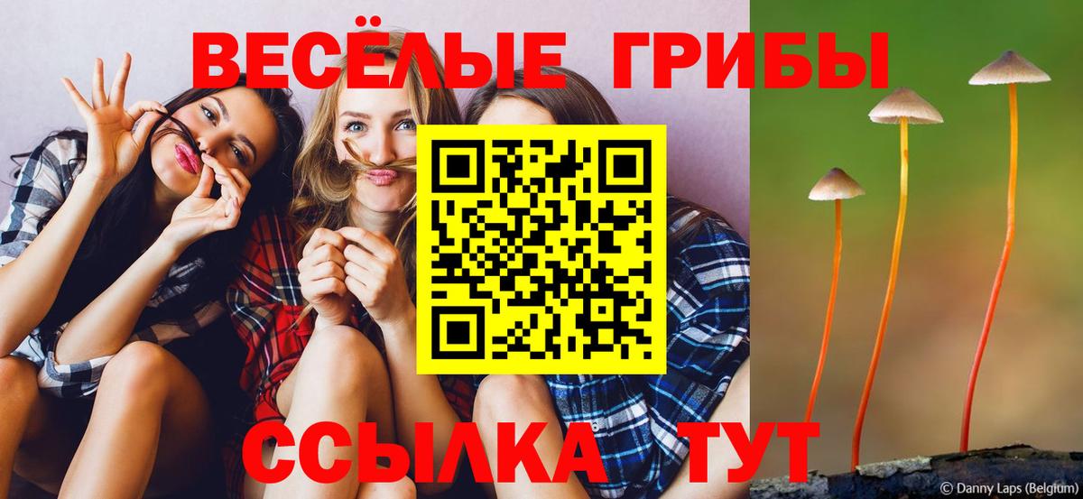 Бошки Шишки  Гашиш  Самара  Мефедрон   Вход с VPN  COCAIN 