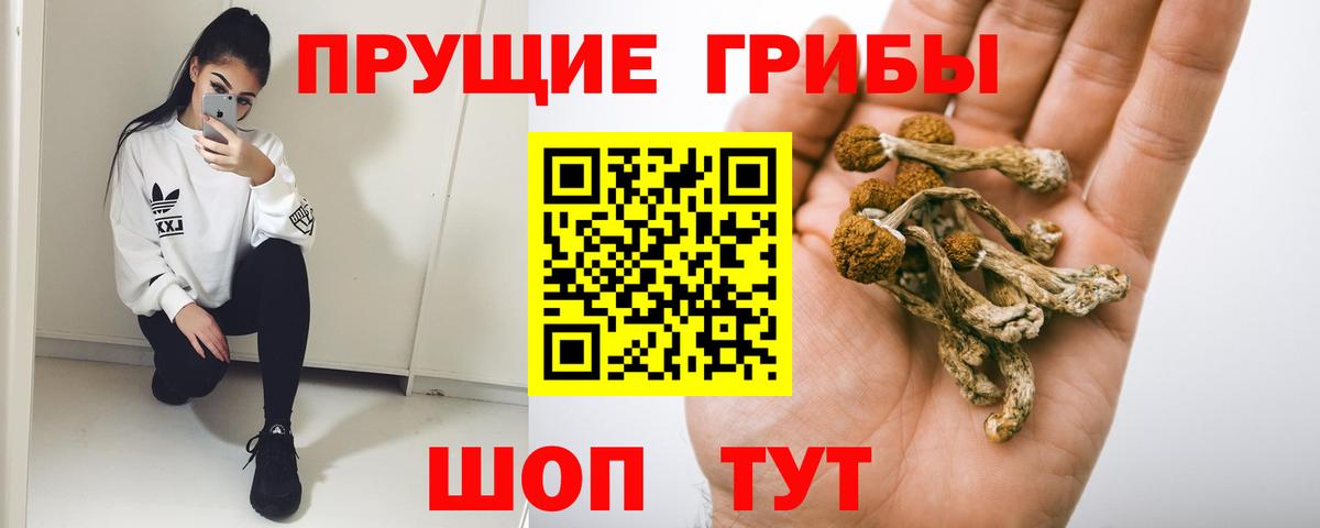 продажа наркотиков  Псилоцибиновые грибы Psilocybe  Вход с VPN  Галлюциногенные грибы ЛСД  Самара 